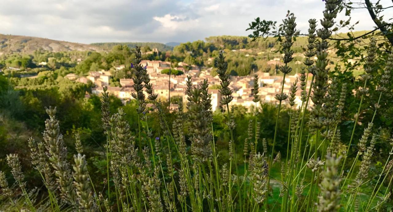 Loft Provencal Apartment Salernes Luaran gambar